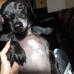 Meet your Posher, Chelsea